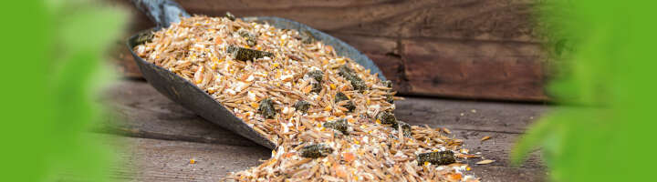 pferdemuesli kategorieeinstiegsbanner